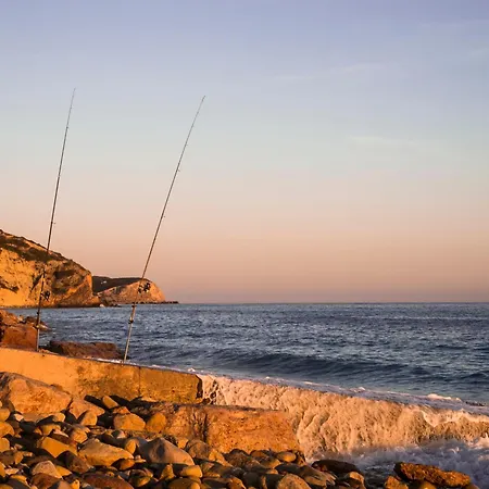 Frontline Seaview בודנס
